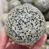 30-100 mm Natural Dalmation Jasper Sphere Crystal Globe Ball Chakra Healing Reiki Stone Carved 1pcs 3