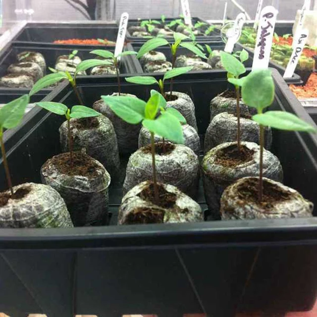 100Pcs Professional Peat Pellets Plant Starting Soil Block Jiffy Seedling Plugs Environmental Garden Nursery 4