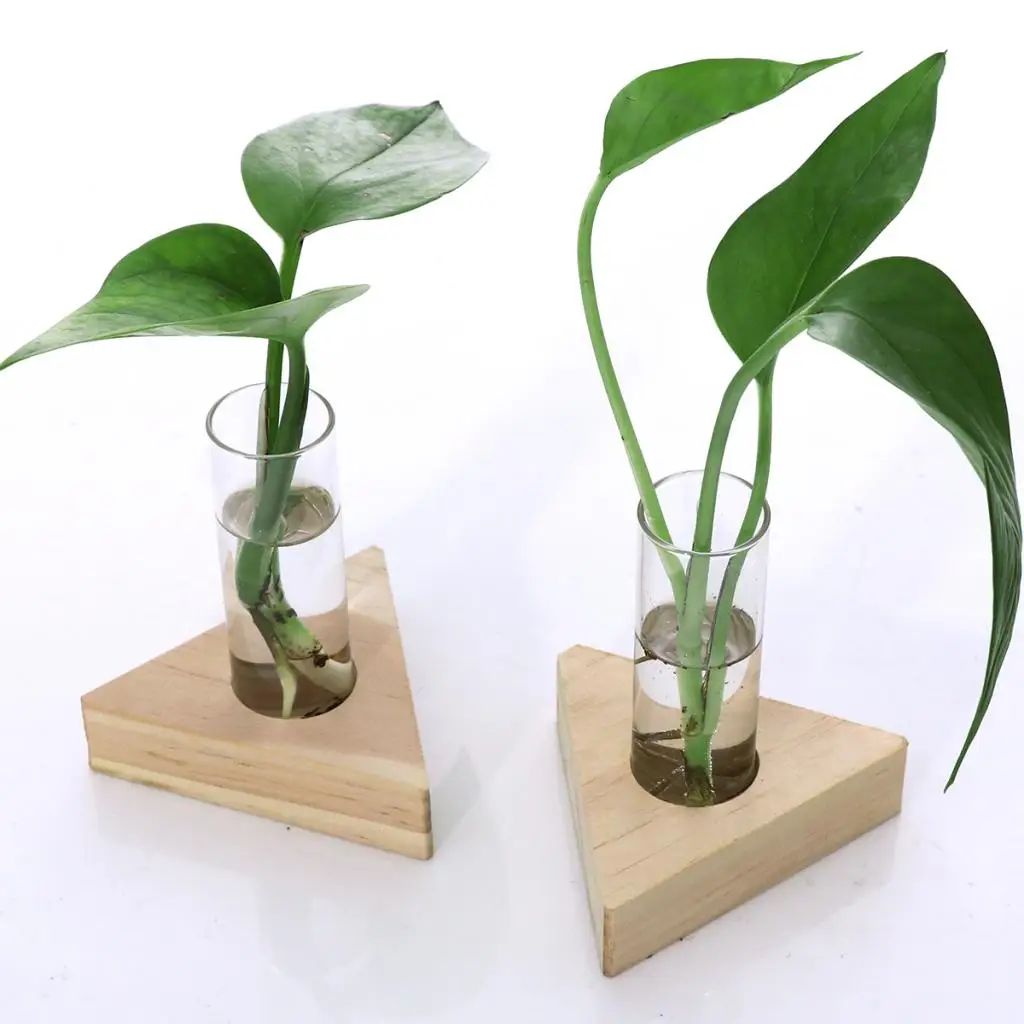 Glass Test Tube Vase in Wooden Stand Flower Pots for Hydroponic