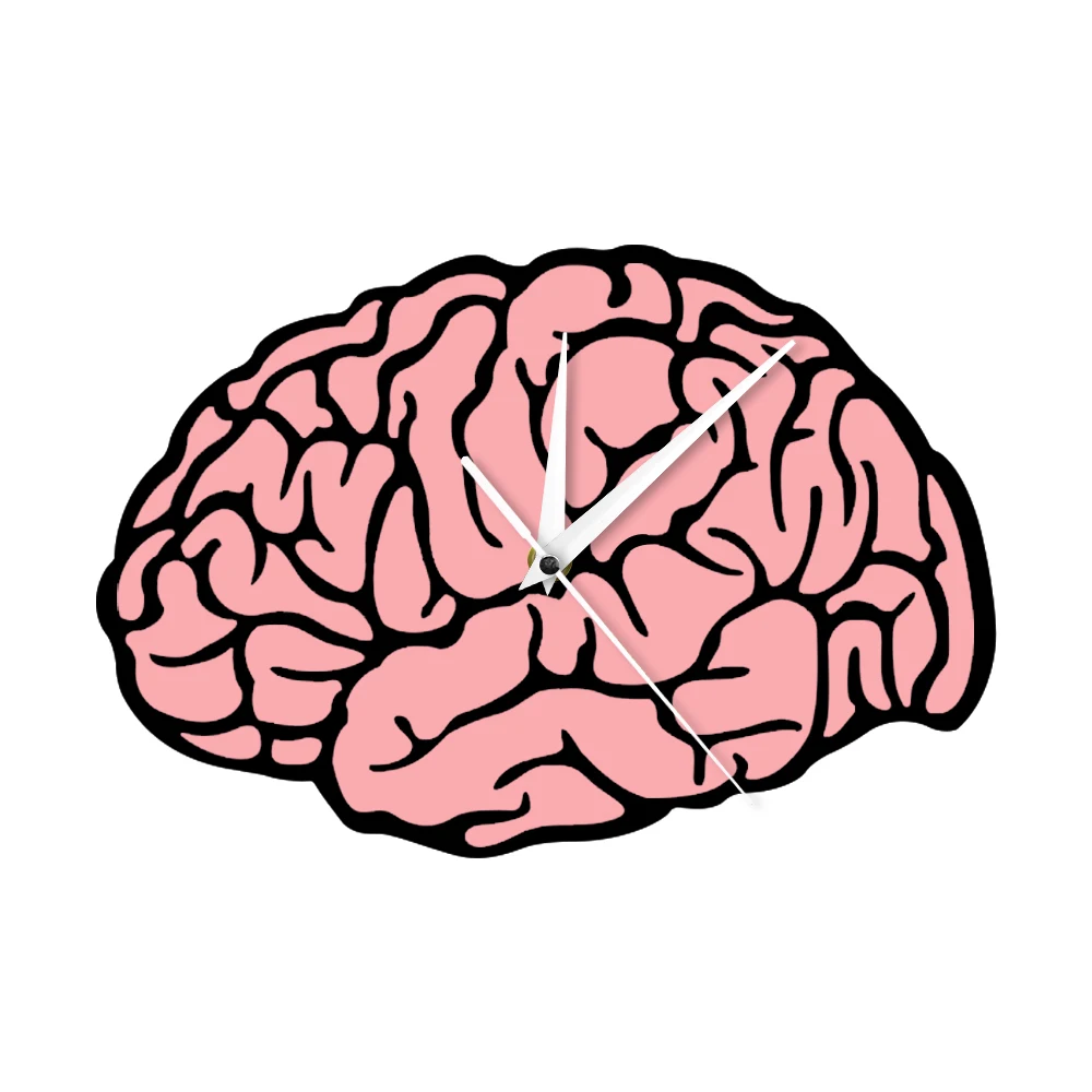 Cerveau humain Horloge murale cerveau anatomie Vinyle Horloge Murale Neuroscience Cadeau 