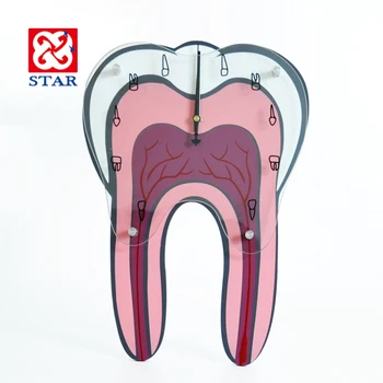 

Dental Clinic Wall Clock Wood Office Wall Decorations Oral Hospital Yellow Tooth Watch Large Digital Wall Clock Home Decor 2020