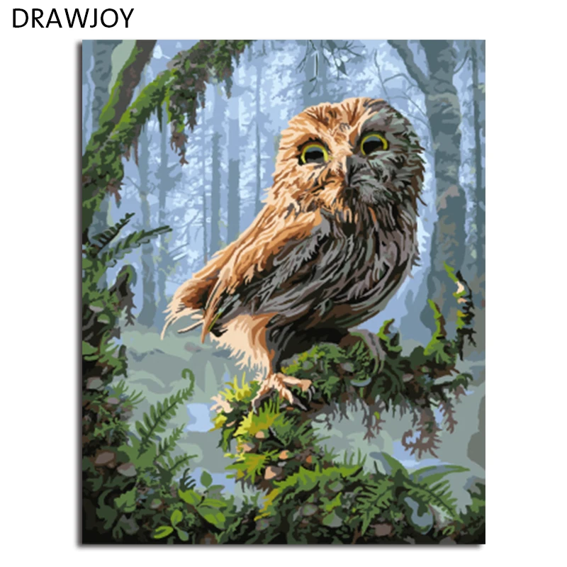DRAWJOY картины в раме живопись по номерам Сова DIY цифровая картина маслом на холсте