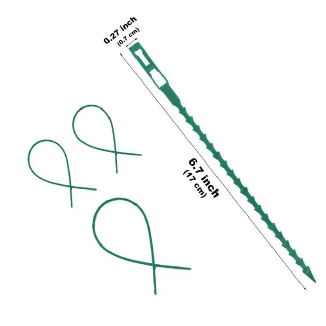 50Db Újrahasznosítható Fishbone Band Szerszámok Állítható Műanyag Növénykábelek Üvegházhatást Okozó Készletek Kerti Fa Hegymászó Tartóhoz - Image 2