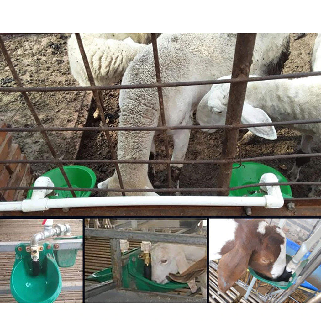 Sheep Goat Pig Piglets Automatic Water Drinker,Flow Valve Fits for 20mm Pipe