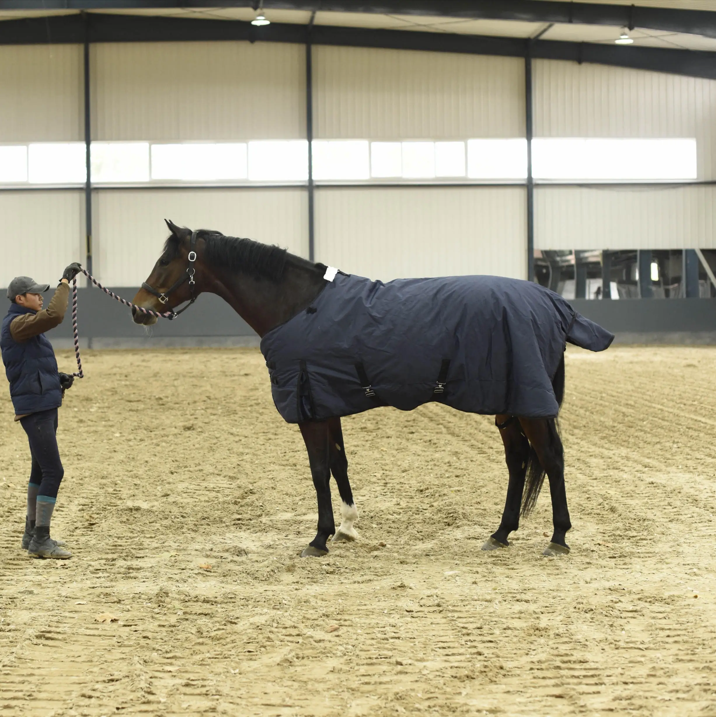 Winter Cotton Horsecloth Scarf Equestrian Waterproof and Breathable Horse Sheet Horse Blanket Standard Neck Turnout Sheet