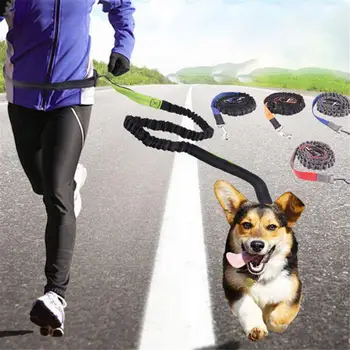 

Hand Free Jogging Padded Waist Cat Strip Elastic Leash Dog Puppy Training Walk Nylon Running Traction Belt Reflective Rope Sets