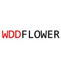 WDDFLOWER Store