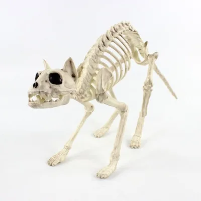 High quality Animal Skeleton toy Trinkets Halloween animal Skeleton decoration Bones house fashion artwork Party Decoration - Цвет: 57cm  310g