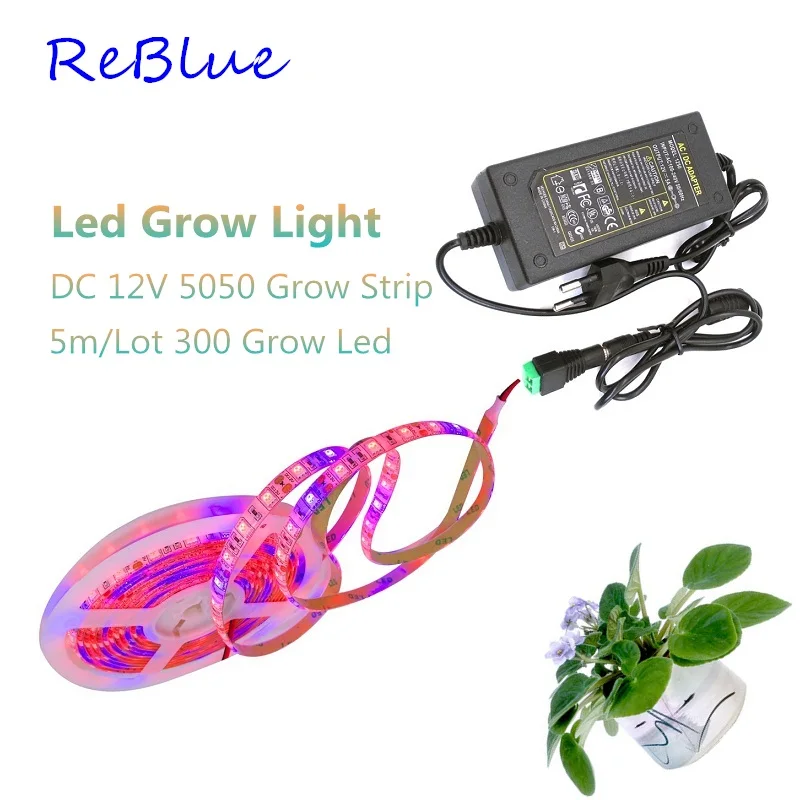 

ReBlue Strip