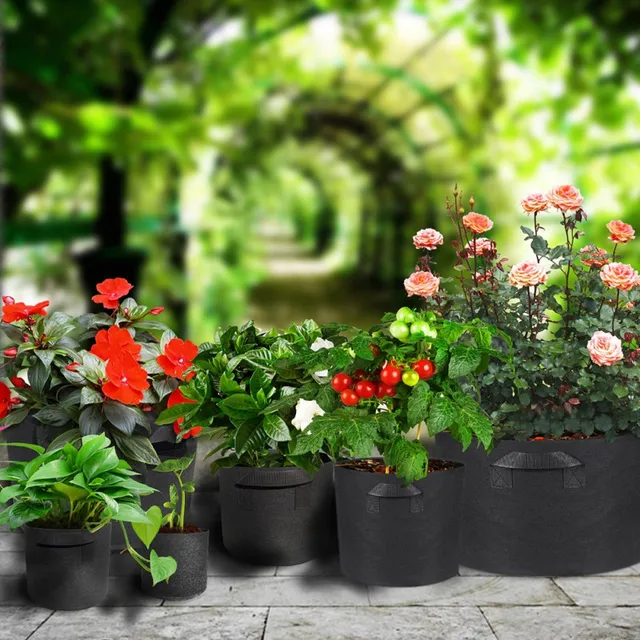 Tartós, Nem Szőtt Vastag Növény Termesztési Táska Hordozható Egyszerű Növényi Tartály Fekete Kültéri Kerti Készletek Zöldségek/Virág/Növény Forró - Image 3