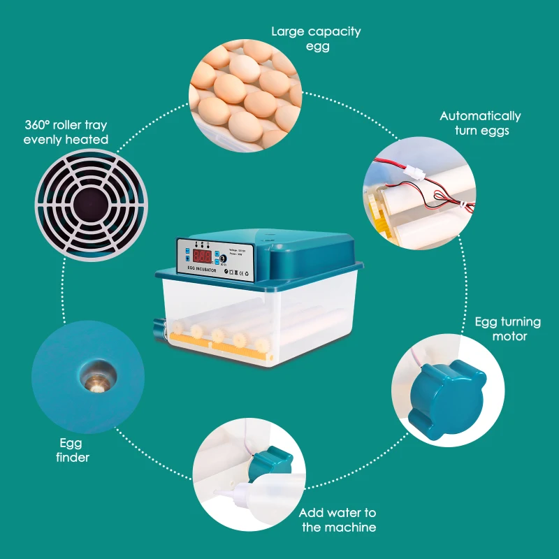 16 Eggs Chicken Brooder Incubator Automatic Egg Incubator Brooding Machine Chick with LED Temperature Display Home