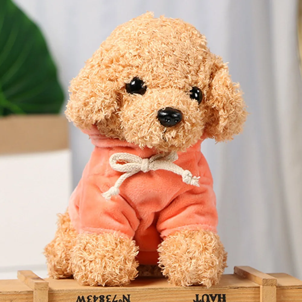 Teddy Dog Rag  (36)