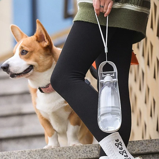 Bouteille d'eau portable pour animaux de compagnie, mangeoires pour chiens,  abreuvoir de voyage, bol pour chien, fontaine pour chat, marche en plein  air - AliExpress