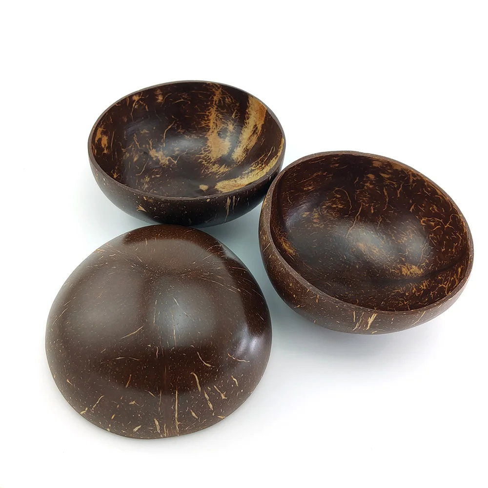Coconut Shell Bowl (2)