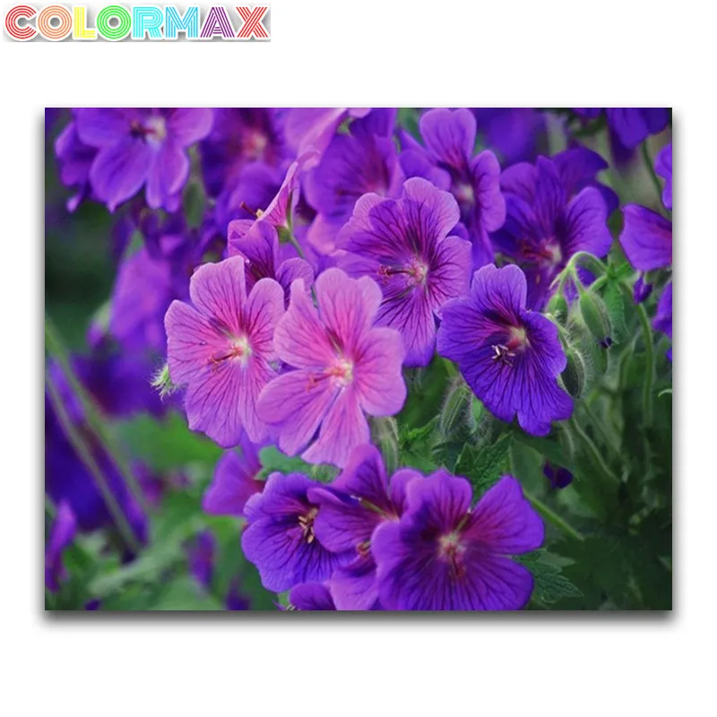 DIY 3D Алмазная живопись цветок Полный Круглый Алмаз фотокартина квадратная