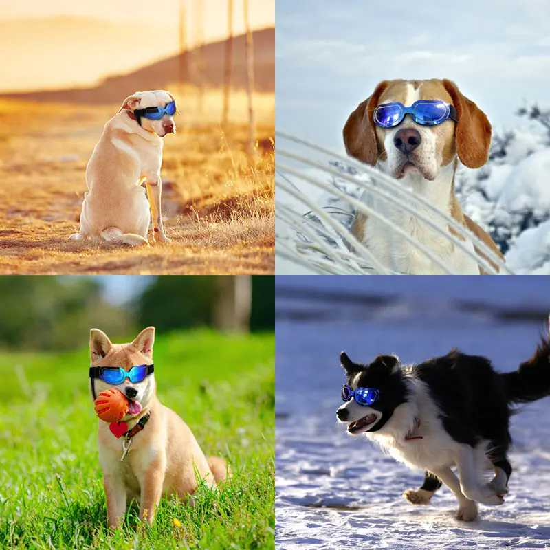 UV-Protection-Dog-Sunglasses-Eyewear-Waterproof-Pet-Goggles-Colorful-Sunglasses-for-Small-Puppy-Dog-and-cat (4)