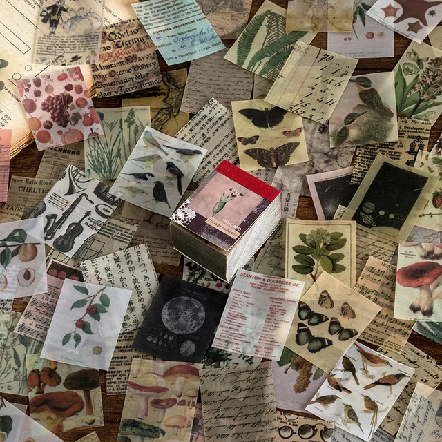 Warm 366pcs Of Van Gogh Color Multi-Style Plant Kraft Paper Diary Stickers Aesthetics Bullet Journal Art Supplies Material Paper 1