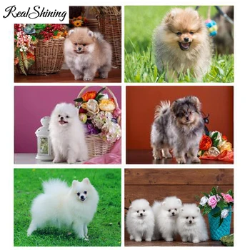 

Full Square Round Diamond Embroidery Spitz dog Animals DIY 5D Diamond Painting Cross Stitch Rhinestones Home Decor FS6607