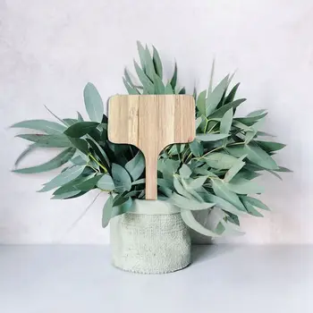 

50Pcs Bamboo Plant Labels , Eco-Friendly T-Type Wooden Plant Sign Tags Garden Markers for Seed Potted Herbs Flowers Vegetables (