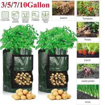 

Potato Growing Bag Garden Main Garden Vegetable Plant Container Flowerpot Grow Fruit Seeds Plants Thicken Gardening Tools