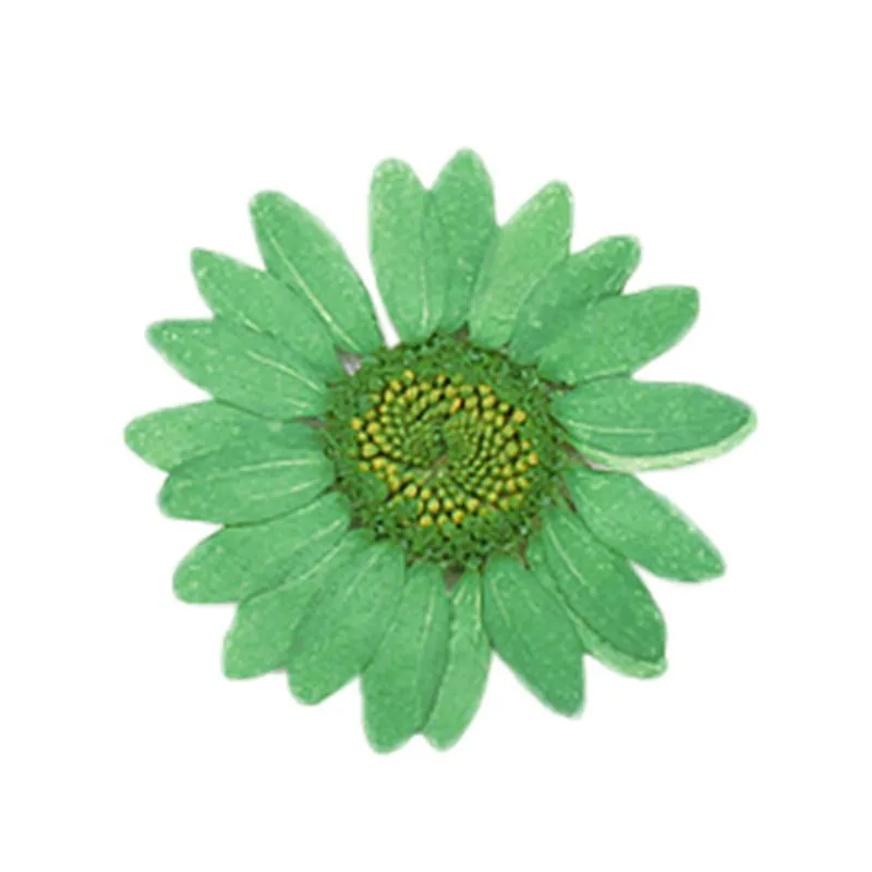 LXQ00575-01-LXQ00575-06-C7