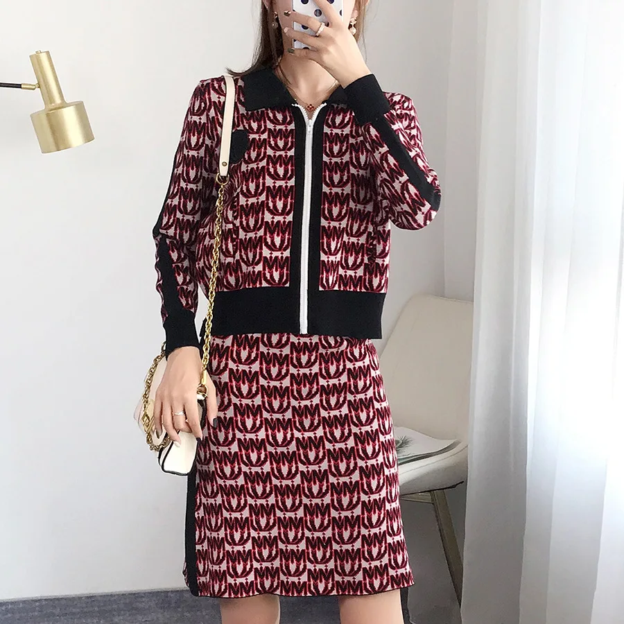 

Handsome Suit Pickaxe Zipper Knitted Cardigan Skirt Show Thin Temperament Sweater Two-piece Suit Women's 2019 2 Piece Set Women