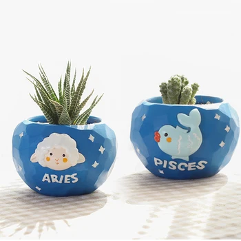 

1pc Cartoon Zodiac Flowerpot Resin Constellation Flower Pot Succulent Plant Pot Home Garden Bonsai Planter