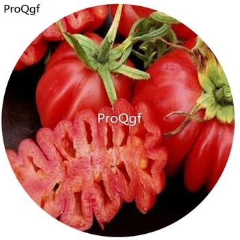 

Ngryise 6000Pcs A Set mexican Zapotec ruffled tomato