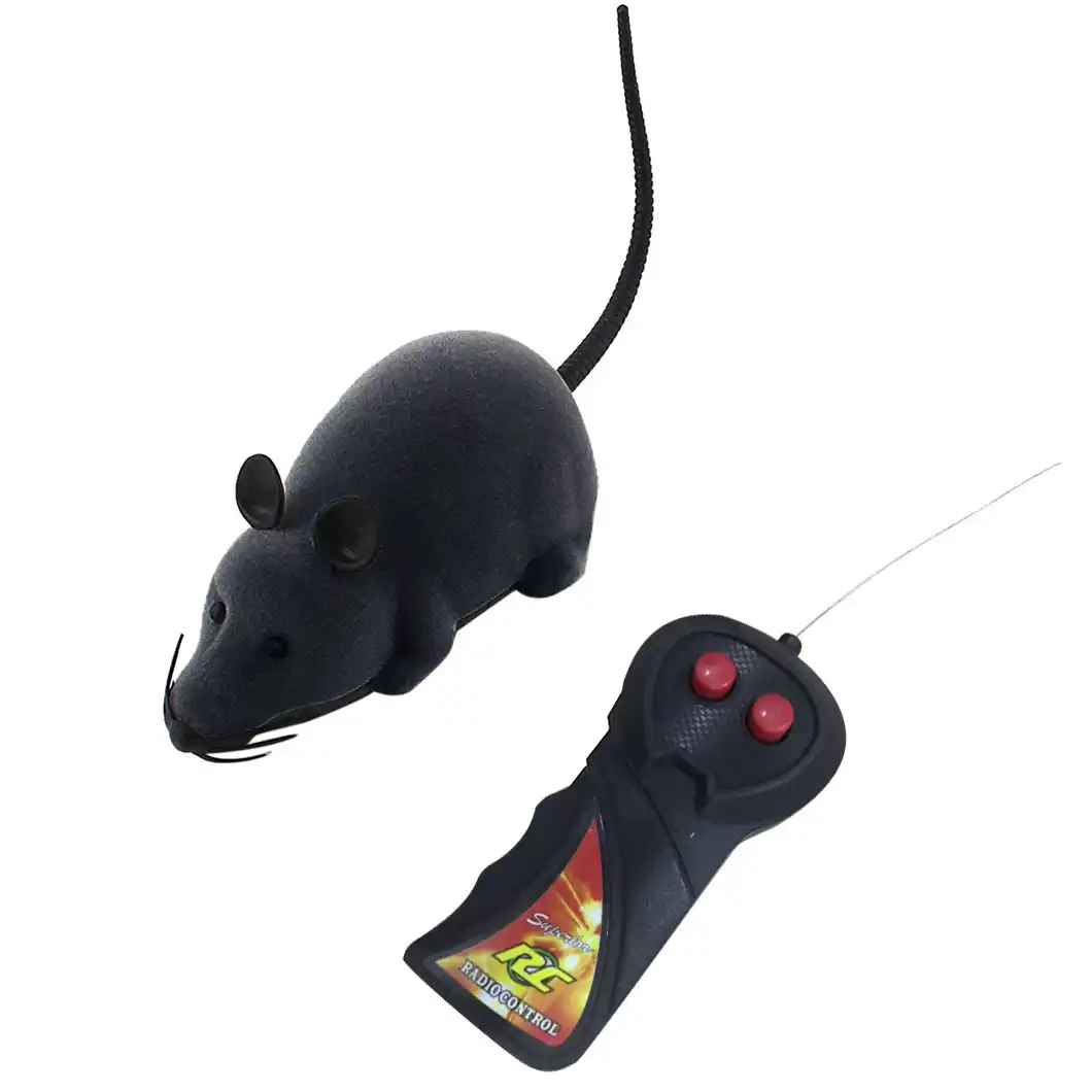 remote controlled mouse