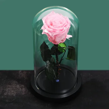 

Beauty and the Beast Red Rose in a Glass Dome for Valentine's Mother's Day Gifts Romanti Forever Rose Flower Immortal Fresh Rose
