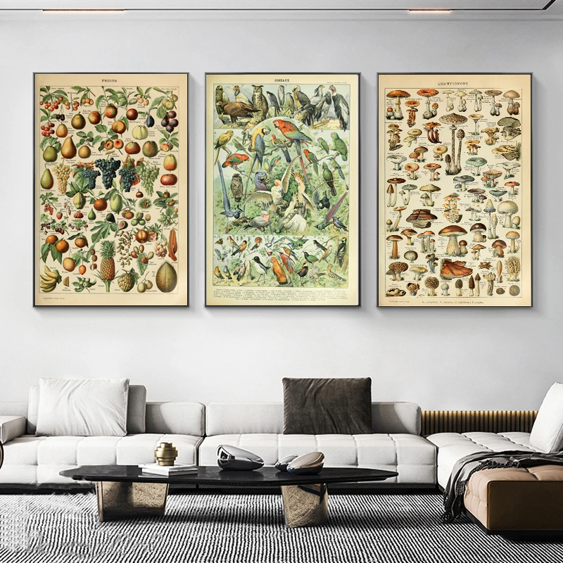 

Retro Abstract Specimen Plant Animal Fossil Canvas Painting Bird Poster and Prints Wall Art Pictures for Hotel Room Home Decor