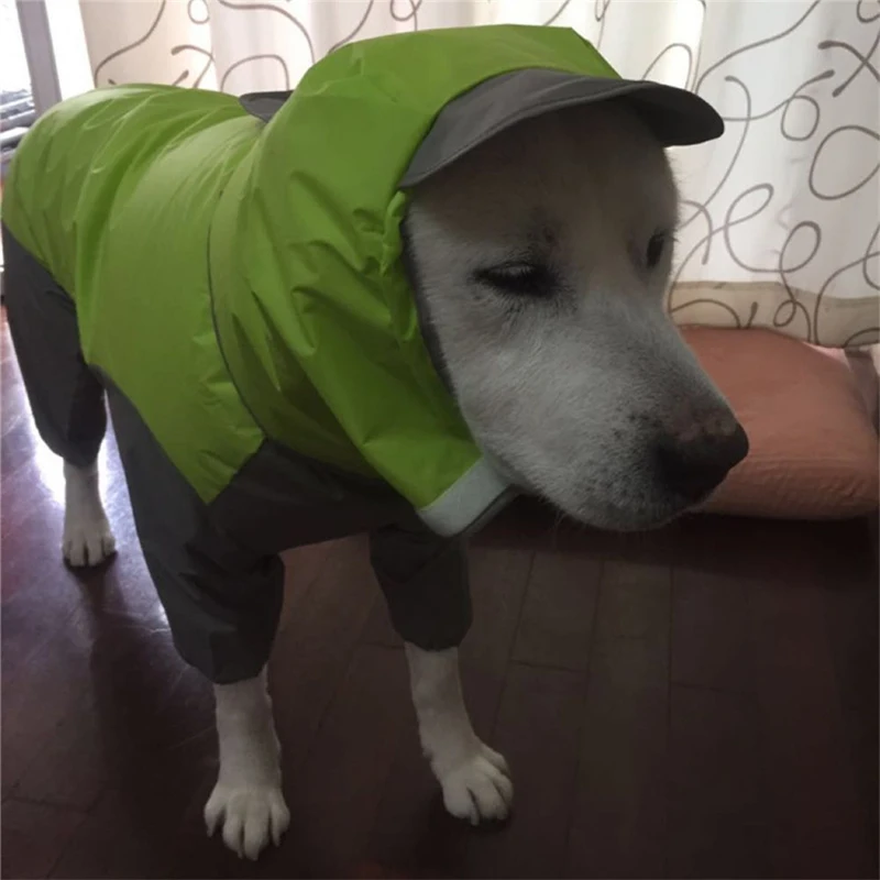 Tudo incluído grande cão capa de chuva