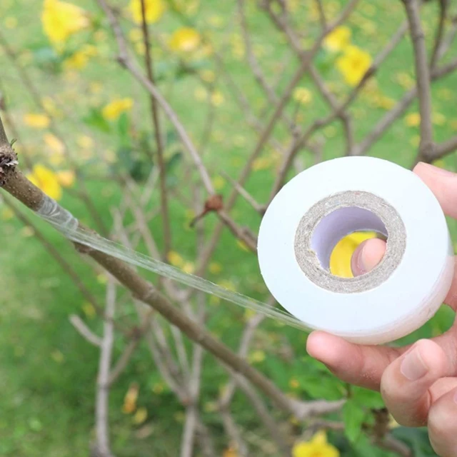1 Tekercs Oltó Szalag Kerti Szerszámok Kertészkedési Gyümölcsök Ágak Áztatják Az Ön Adagoló Átlátszó Tömítőfilmet - Image 5