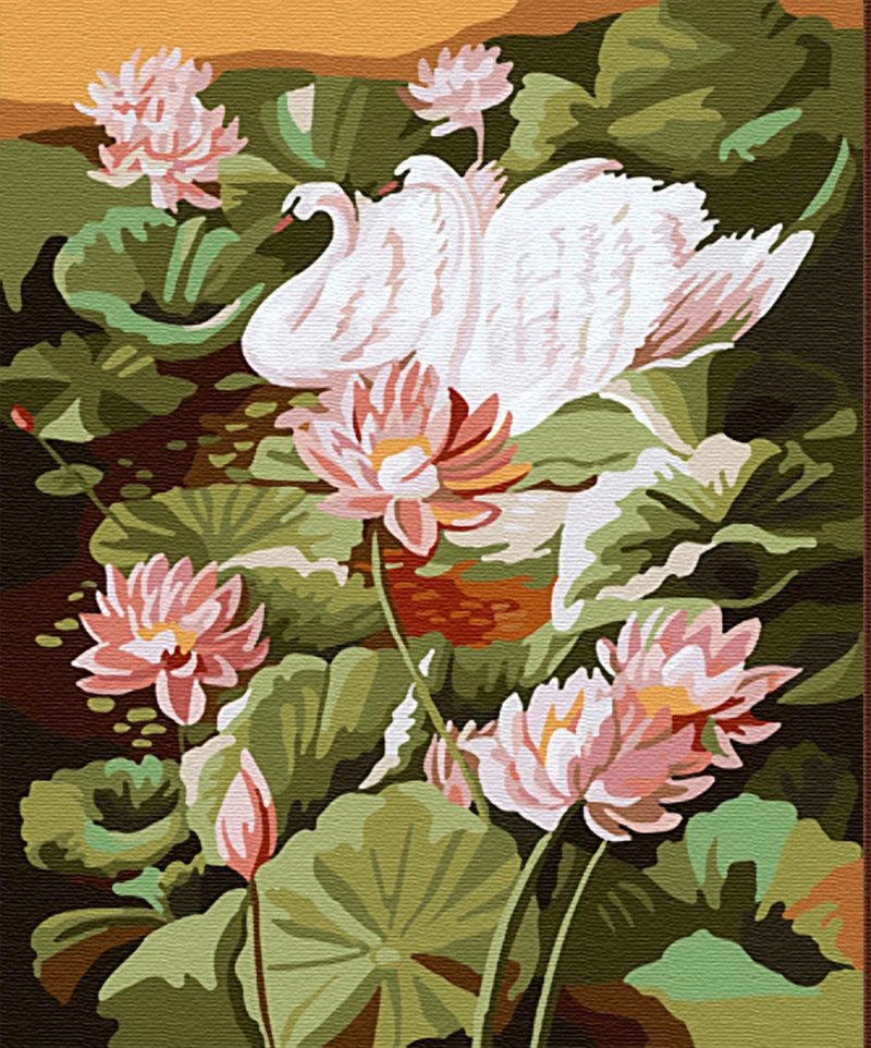 G384天鹅之恋2-1