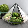 Minimalism Diamond shape Moss Glass Terrarium Black Geometric Glass Solder Terrarium Housing For Plants Home Decoration 6