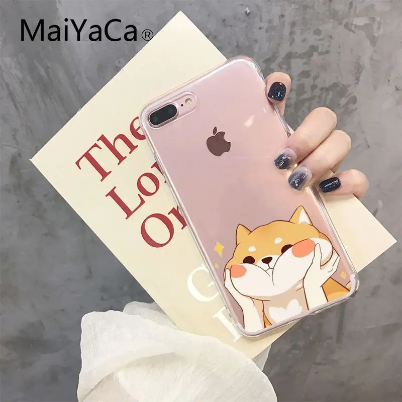 Shiba Inu Dog