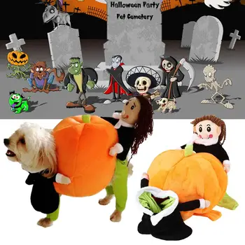 

Pumpkin Dog Clothes Halloween Pumpkin Four Feet Pumpkin Costume Dressing