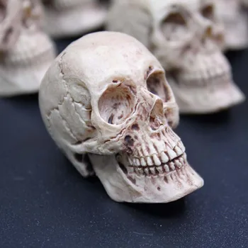 

1/6 Scale Soldier's Human Man Skull Model Old Version for 12inch action figure toy DIY Accessories 1pcs