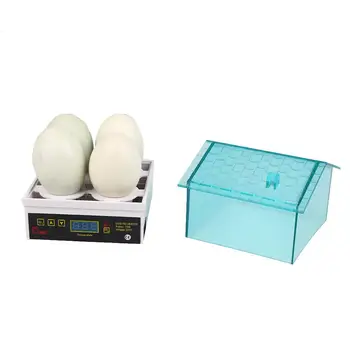 

Incubator Chicken Quail Egg Incubator Electronic Display Thermostat Automatic
