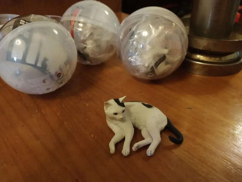 pvc figure model toy leisure cats 4pcs/set | Игрушки и хобби