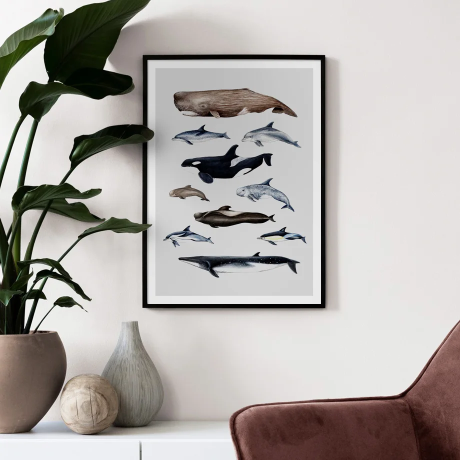 Whale-Dolphin-Marine-Life-Animals-Art-Prints-Wall-Art-Canvas-Painting-Nordic-Posters-And-Prints-Wall (2)