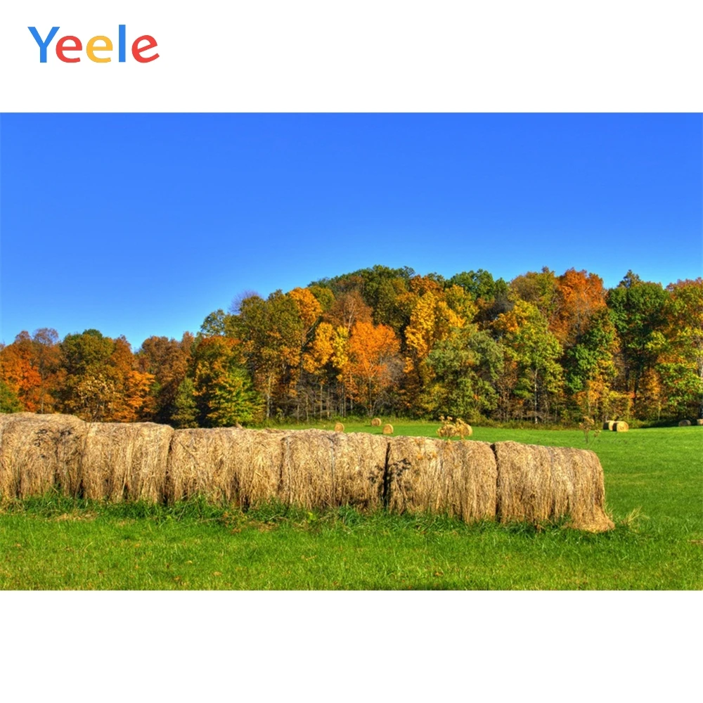 

Yeele Summer Landscape Green Screen Grass Photography Forest Tree Backdrop Personalized Photographic Background For Photo Studio