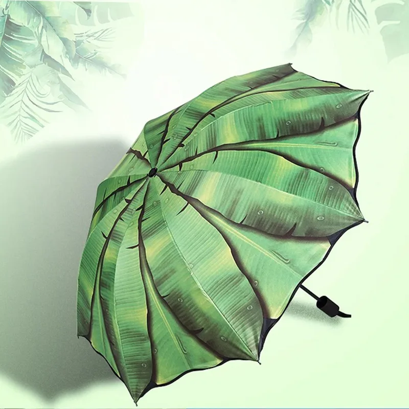 

Musa Basjoo Umbrella Dual Purpose Vinyl Folding Sun-resistant College Style Parasol Customizable Hipster Plant Foreign Trade