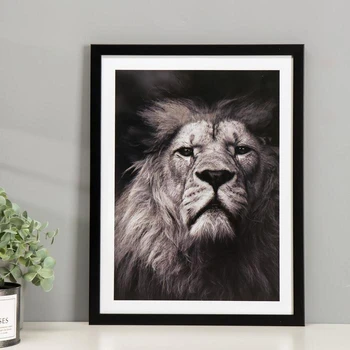 

Plastic poster "Graceful lion" 30x40 cm 5198443