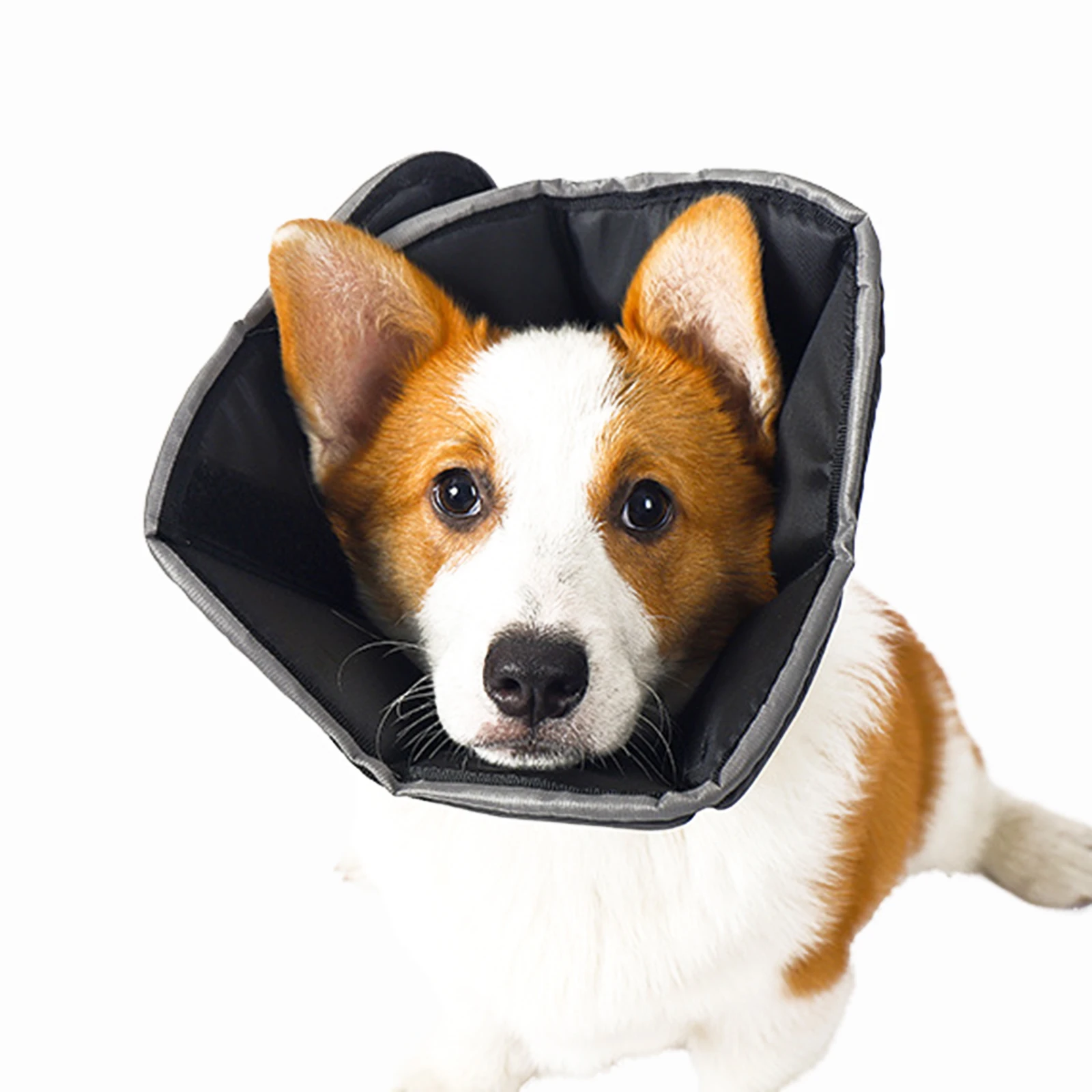 Pet Protection Cone Adjustable Recovery Collar Prevent Licking