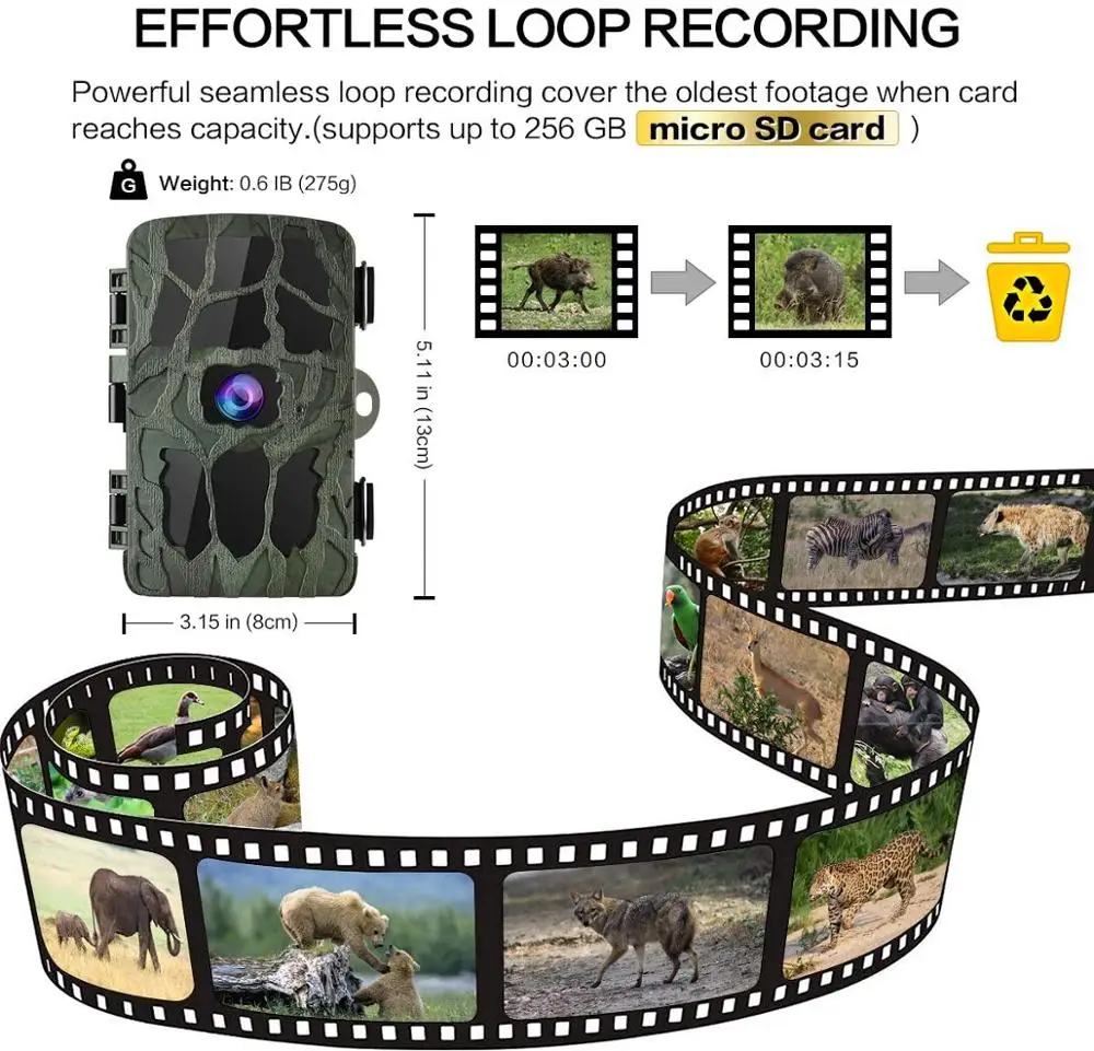 4K Hunting Camera Trap 20MP Infrared Hunt Night Vision Support 256GB Wildlife Photo-trap Hunting Trail Photo Camera Foto Chasse