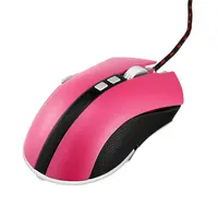 Computer Peripherals