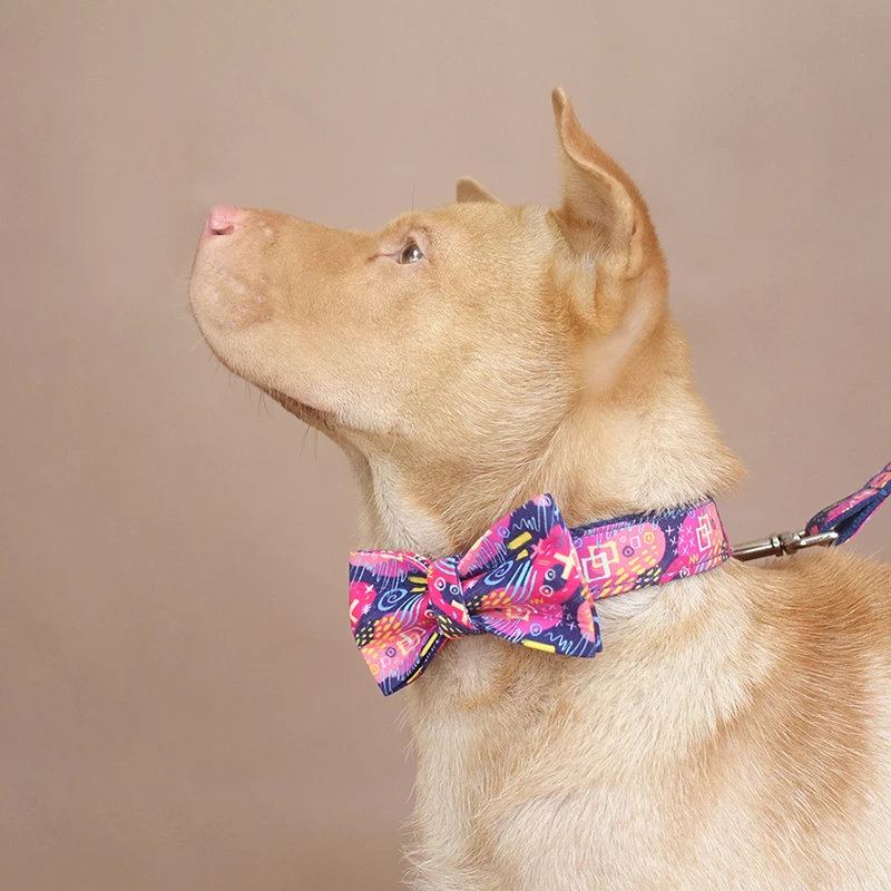MUTTCO, анти-потеря, розничная, самодизайнерский ошейник для собак, глубокий граффити, ручная работа, выгравированный ошейник для собак и поводок UDC062