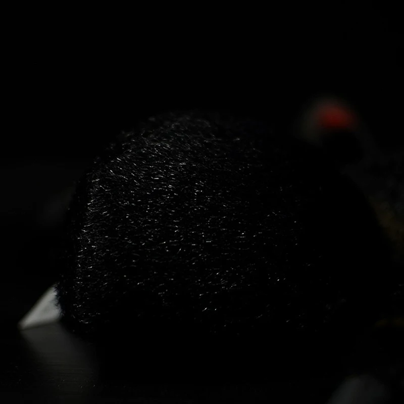 O1CN01AYqkzn1DnZzT3B0FN_!!22080261