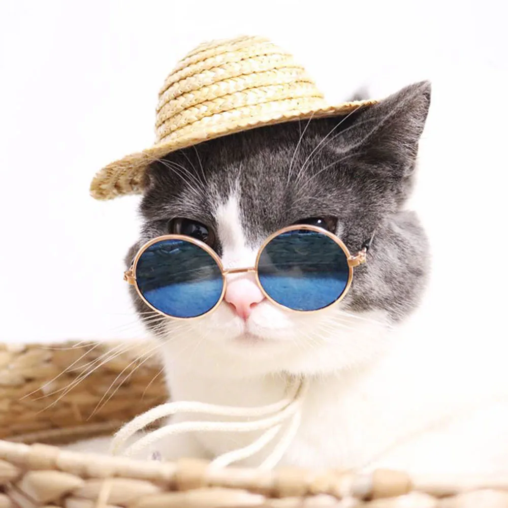 Straw hat mexican cat funny cute pet puppy adjustable buckle fashion | Дом и сад